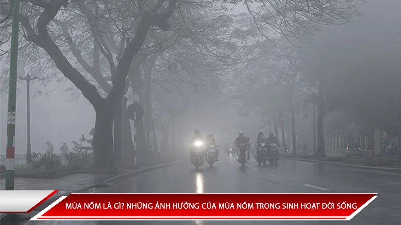 MÙA NỒM LÀ GÌ? NHỮNG ẢNH HƯỞNG CỦA MÙA NỒM TRONG SINH HOẠT ĐỜI SỐNG