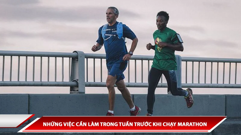 NHỮNG VIỆC CẦN LÀM TRONG TUẦN TRƯỚC KHI CHẠY MARATHON
