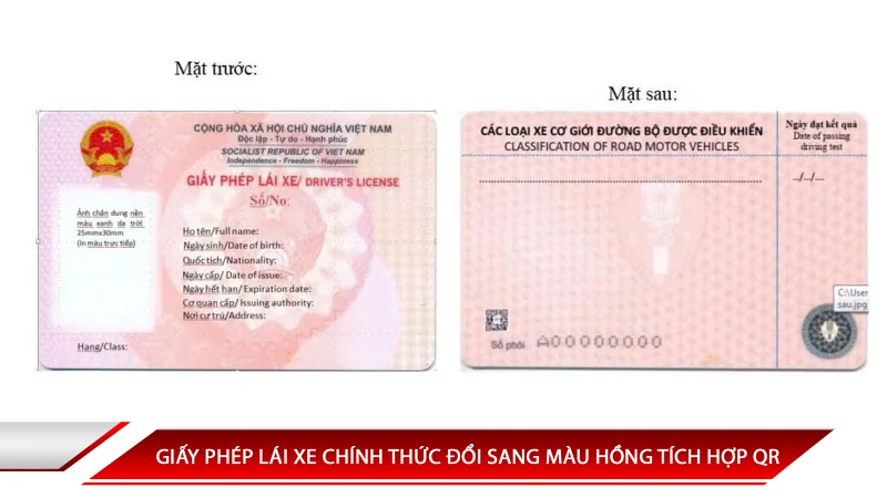 GIẤY PHÉP LÁI XE CHÍNH THỨC ĐỔI SANG MÀU HỒNG TÍCH HỢP QR