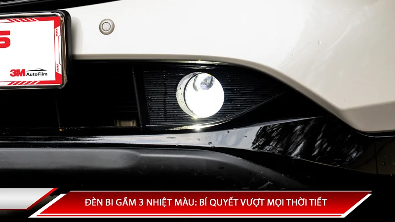 Đèn bi gầm 3 nhiệt màu: Bí quyết vượt mọi thời tiết