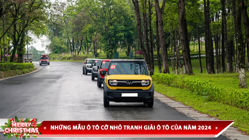 NHỮNG MẪU Ô TÔ CỠ NHỎ TRANH GIẢI Ô TÔ CỦA NĂM 2024