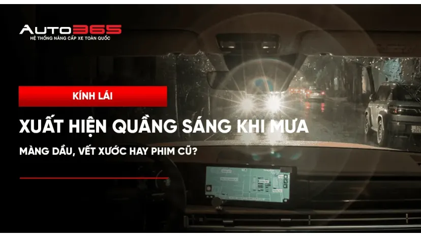 Kính lái xuất hiện quầng sáng khi mưa: màng dầu, vết xước hay phim cũ?