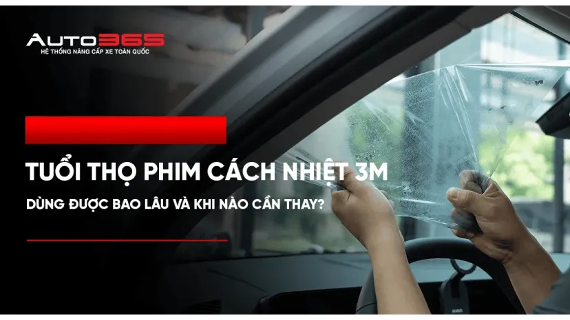 Tuổi thọ phim cách nhiệt 3M: dùng được bao lâu và khi nào cần thay?