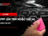 Có nên dán PPF lên tem hoặc decal nguyên bản của xe?