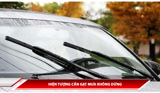 HIỆN TƯỢNG CẦN GẠT MƯA KHÔNG DỪNG