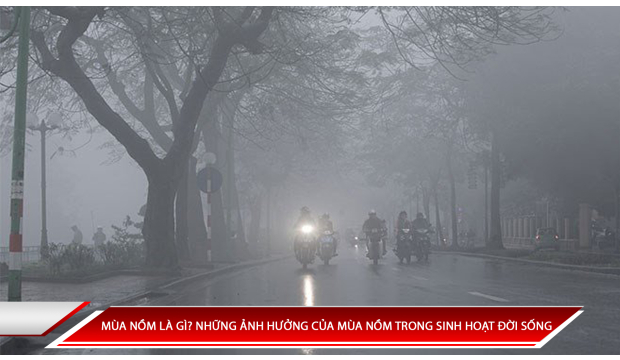 MÙA NỒM LÀ GÌ? NHỮNG ẢNH HƯỞNG CỦA MÙA NỒM TRONG SINH HOẠT ĐỜI SỐNG