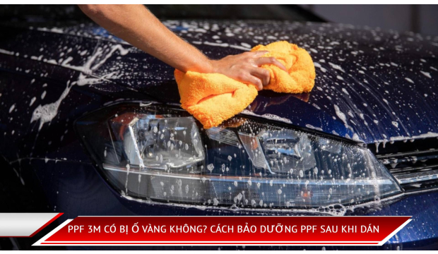 PPF 3M có bị ố vàng không? Cách bảo dưỡng PPF sau khi dán