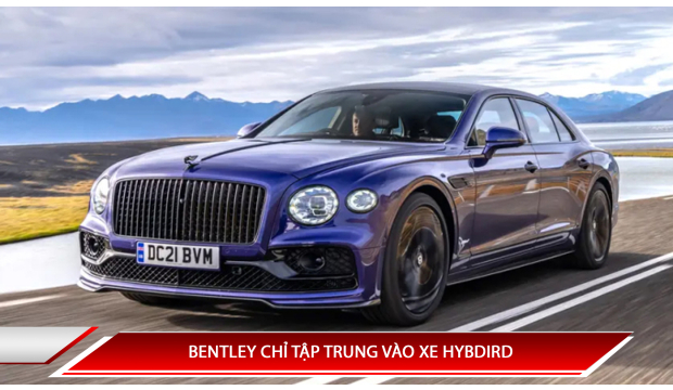 BENTLEY CHỈ TẬP TRUNG VÀO XE HYBRID