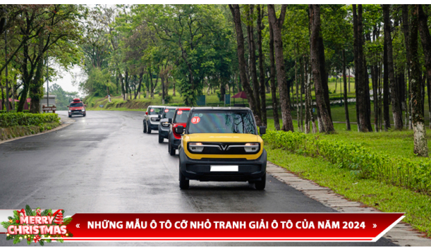 NHỮNG MẪU Ô TÔ CỠ NHỎ TRANH GIẢI Ô TÔ CỦA NĂM 2024