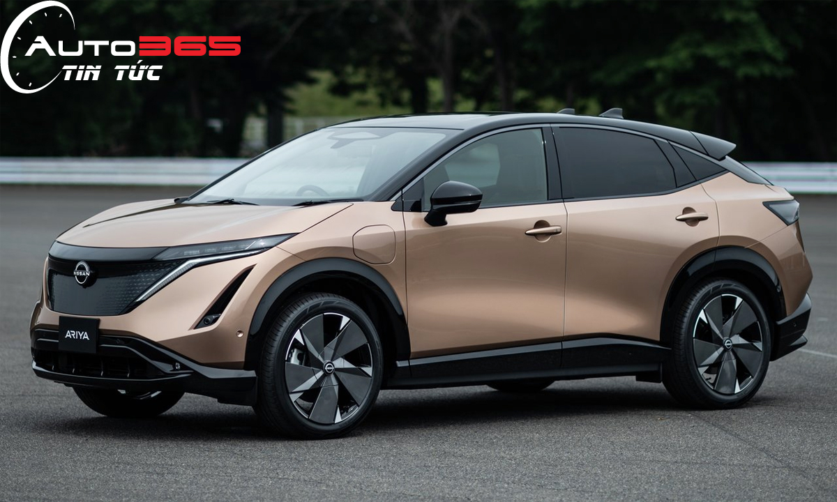 Da Dang Xe SUV Va Xe Tai Dien Dang Co San