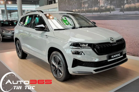 Skoda 2023