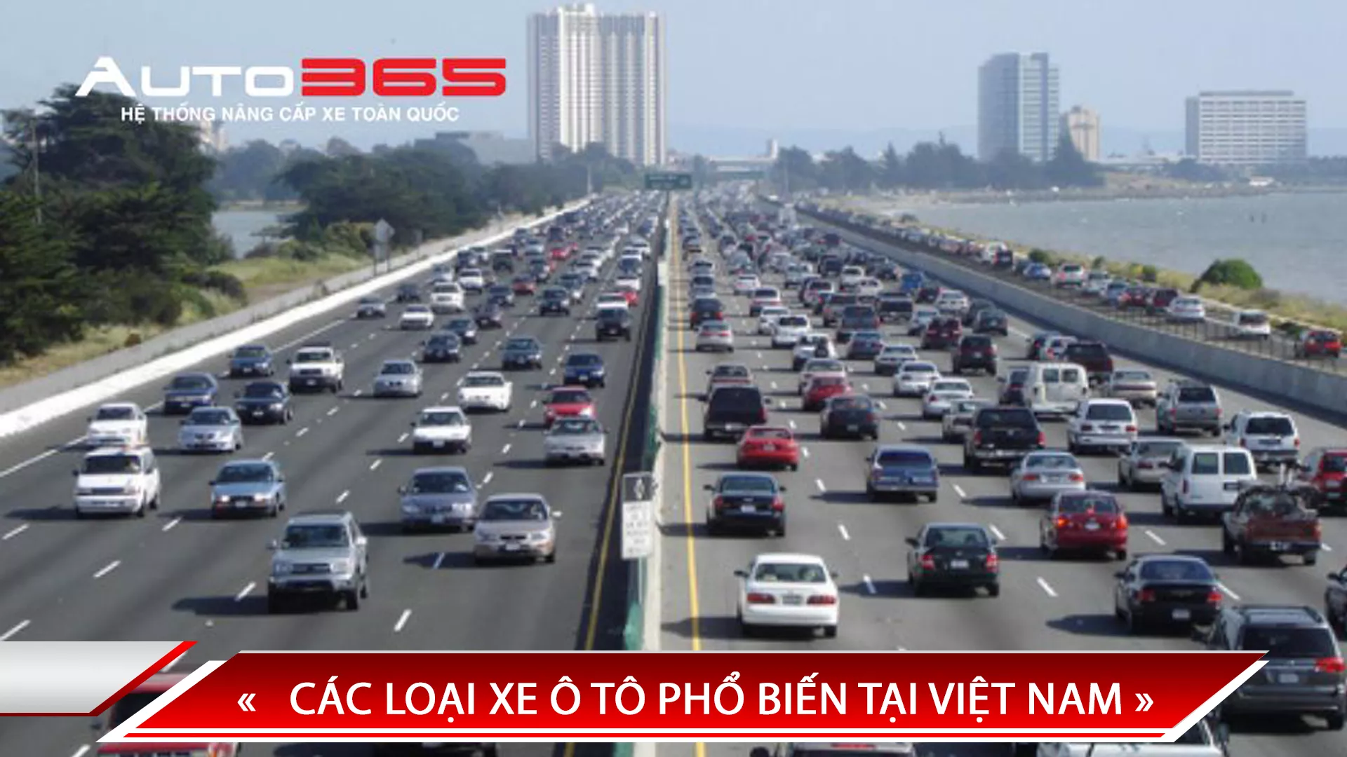 CÁC LOẠI XE Ô TÔ PHỔ BIẾN TẠI VIỆT NAM