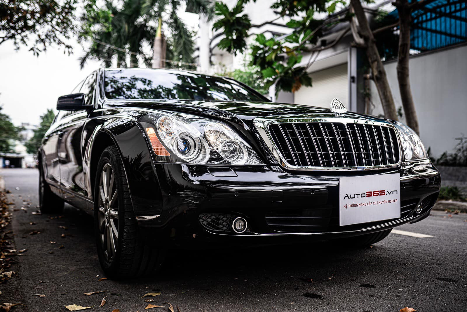 Maybach 2