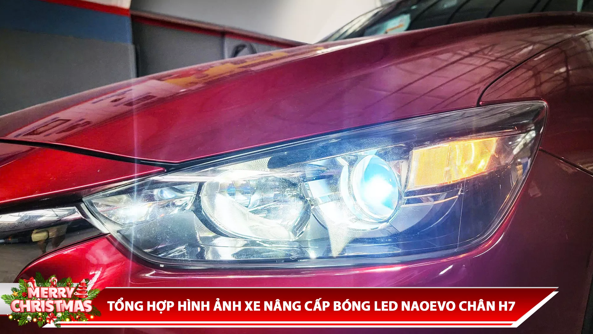 TỔNG HỢP HÌNH ẢNH XE NÂNG CẤP BÓNG LED NAOEVO CHÂN H7