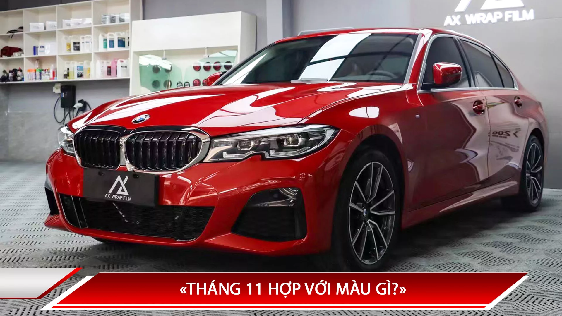 THÁNG 11 HỢP VỚI MÀU GÌ