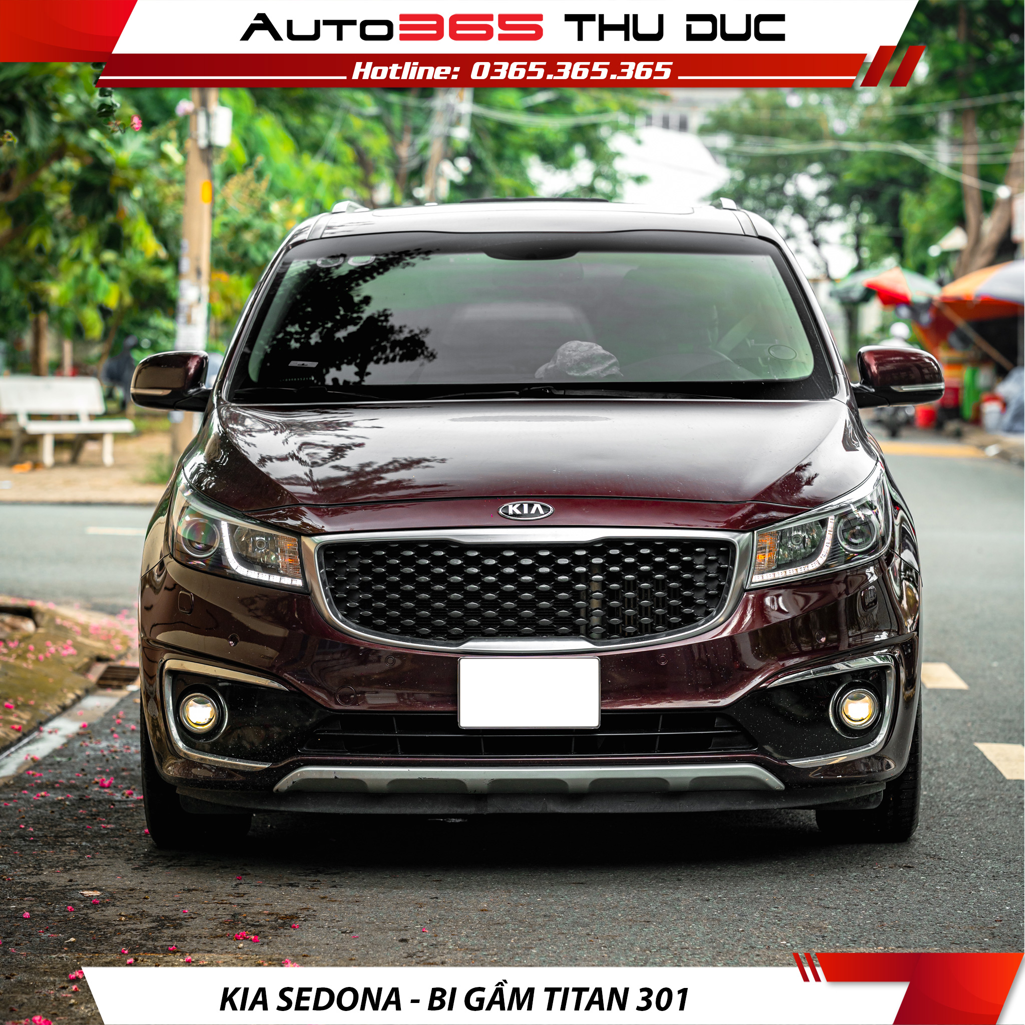 KIA SEDONA Titan 301
