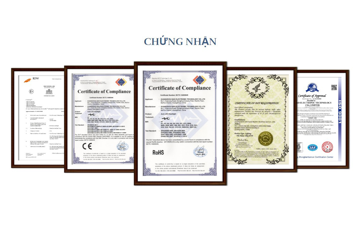 Naoevo Nhan Chung Nhan Quoc Te