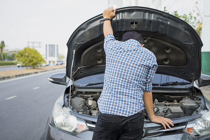 Cach Phong Tranh Dia Diem Auto365 Gia Mao 4