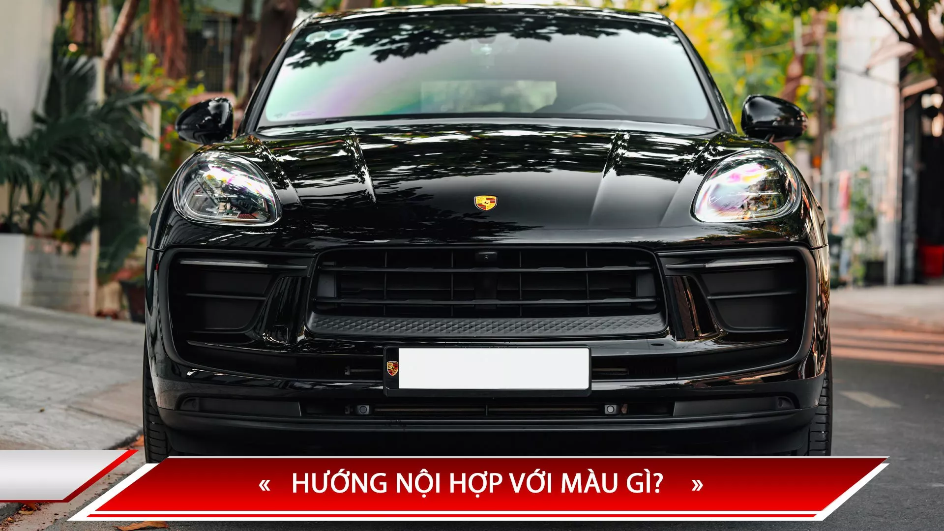 HƯỚNG NỘI HỢP VỚI MÀU GÌ? 