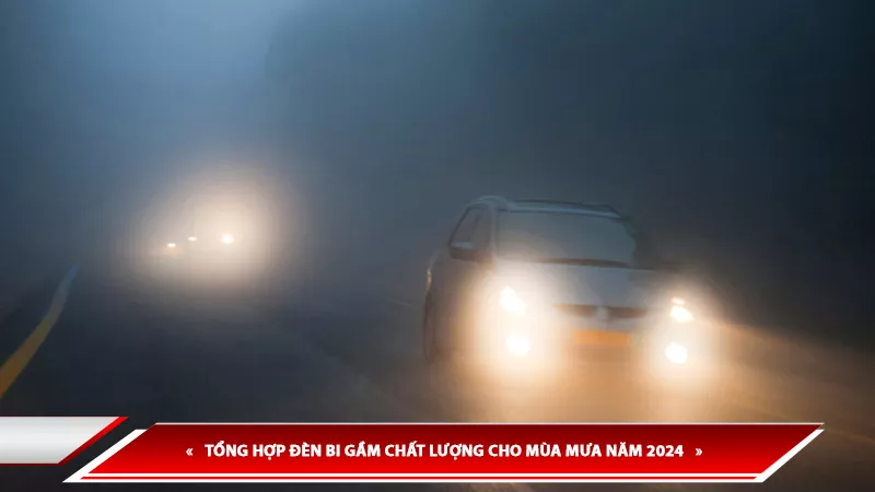 TỔNG HỢP ĐÈN BI GẦM CHẤT LƯỢNG CHO MÙA MƯA NĂM 2024