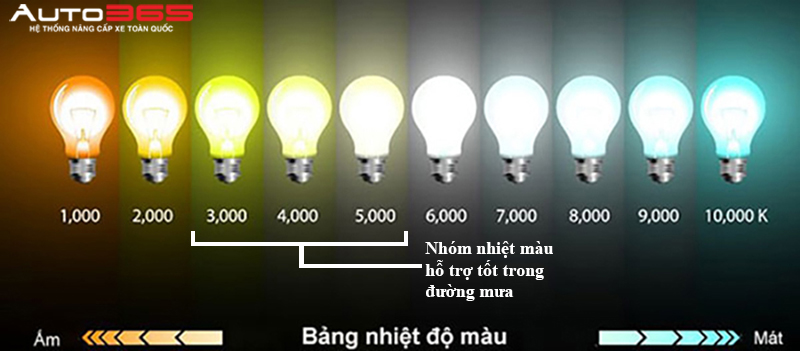 Do Den O To Mua Mua 4