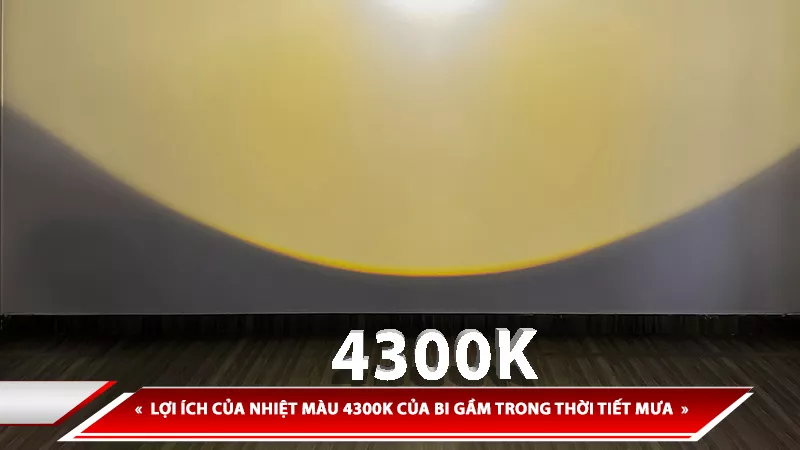 LỢI ÍCH CỦA NHIỆT MÀU 4300K CỦA BI GẦM TRONG THỜI TIẾT MƯA VÀ SƯƠNG MÙ