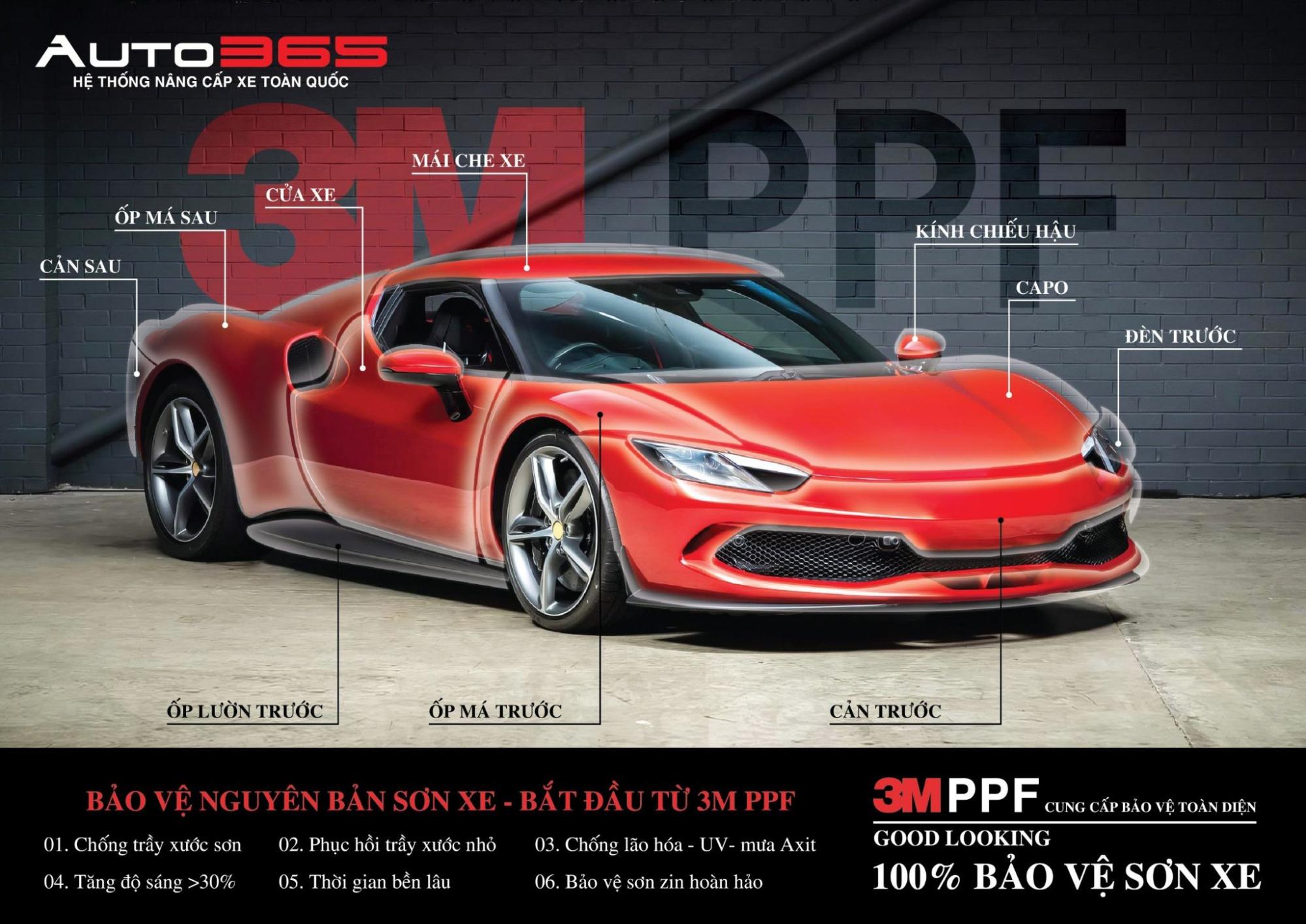 3M PPF 3