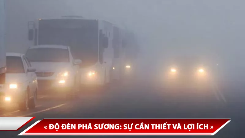 ĐỘ ĐÈN PHÁ SƯƠNG: SỰ CẦN THIẾT VÀ LỢI ÍCH