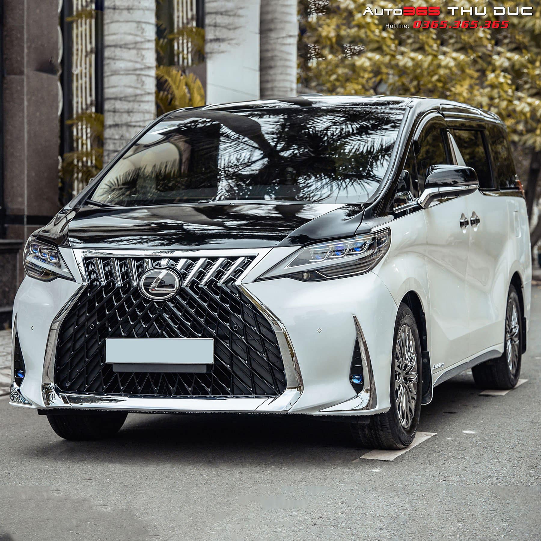 Lựa Chọn Garage Độ Toyota Alphard Uy Tín: Kinh Nghiệm và Đánh Giá