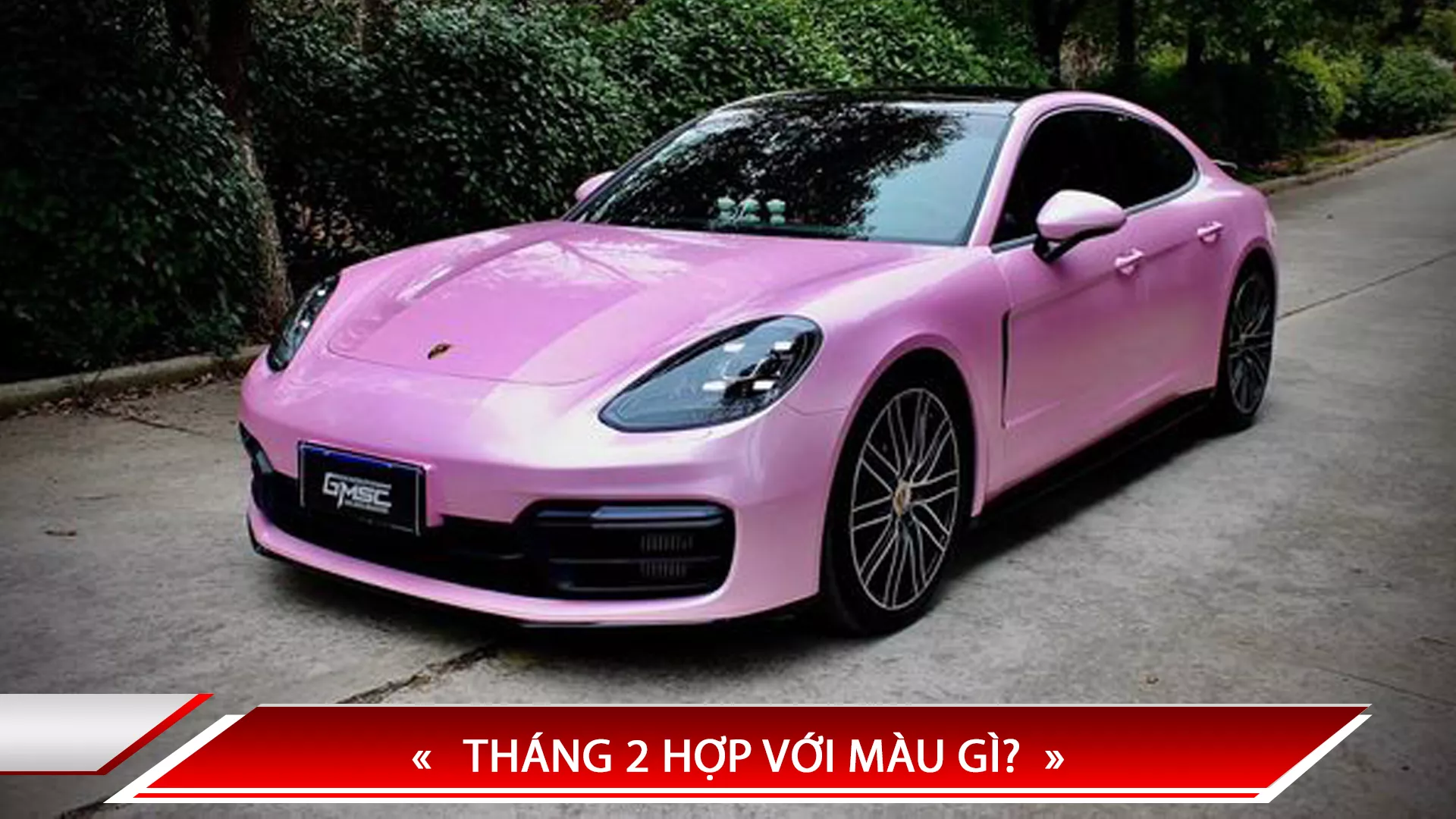 THÁNG 2 HỢP VỚI MÀU GÌ?