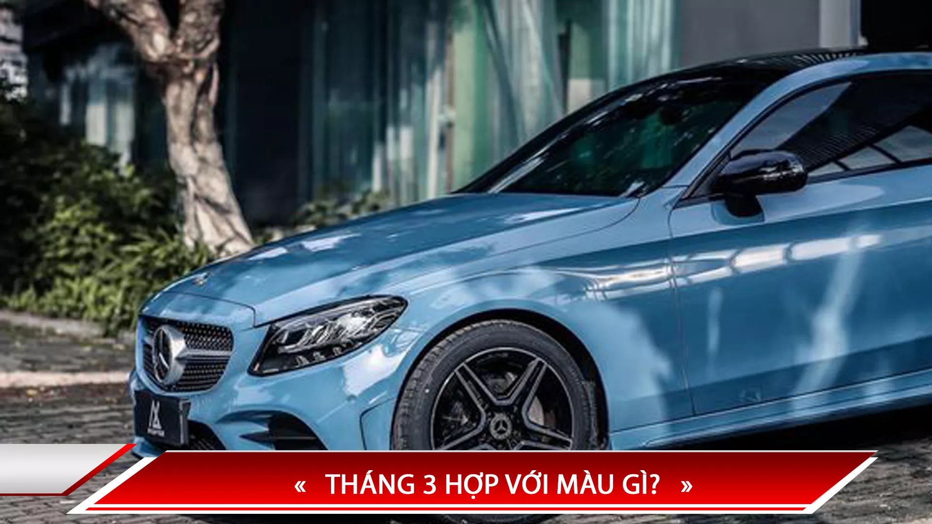 THÁNG 3 HỢP VỚI MÀU GÌ?