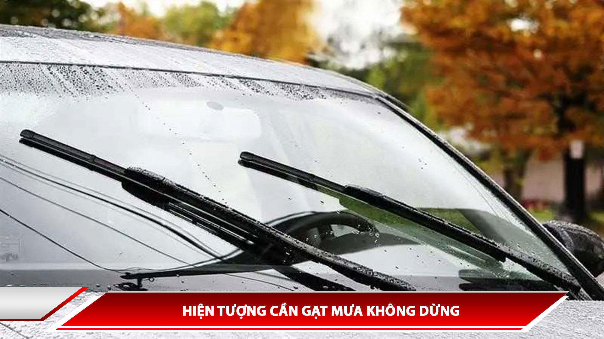 HIỆN TƯỢNG CẦN GẠT MƯA KHÔNG DỪNG
