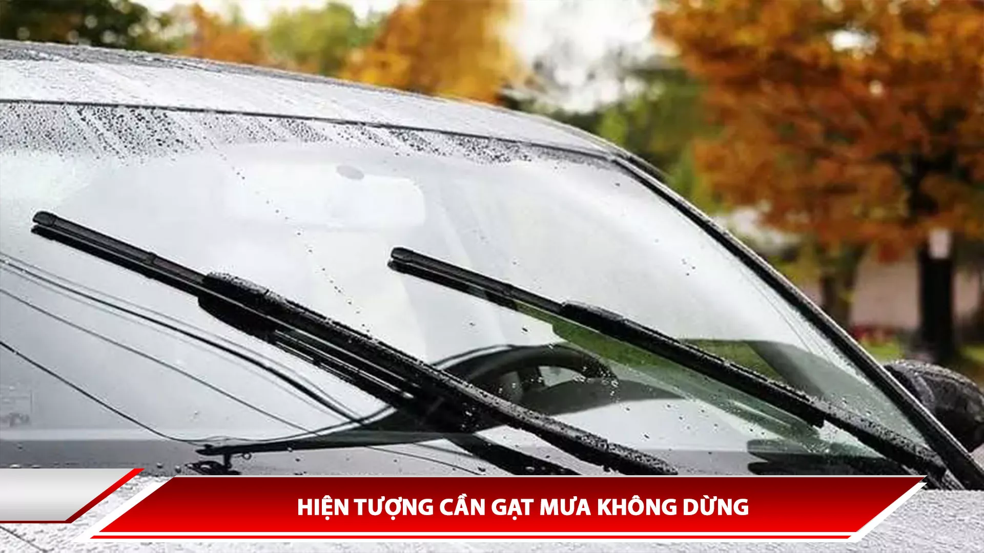 HIỆN TƯỢNG CẦN GẠT MƯA KHÔNG DỪNG