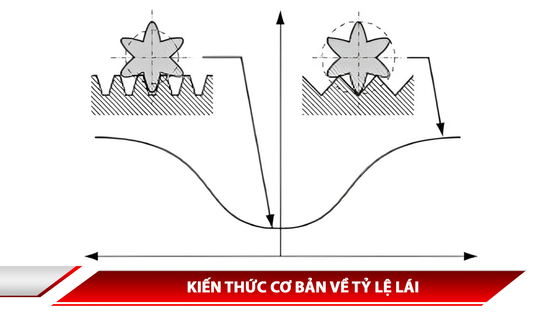 KIẾN THỨC CƠ BẢN VỀ TỶ LỆ LÁI