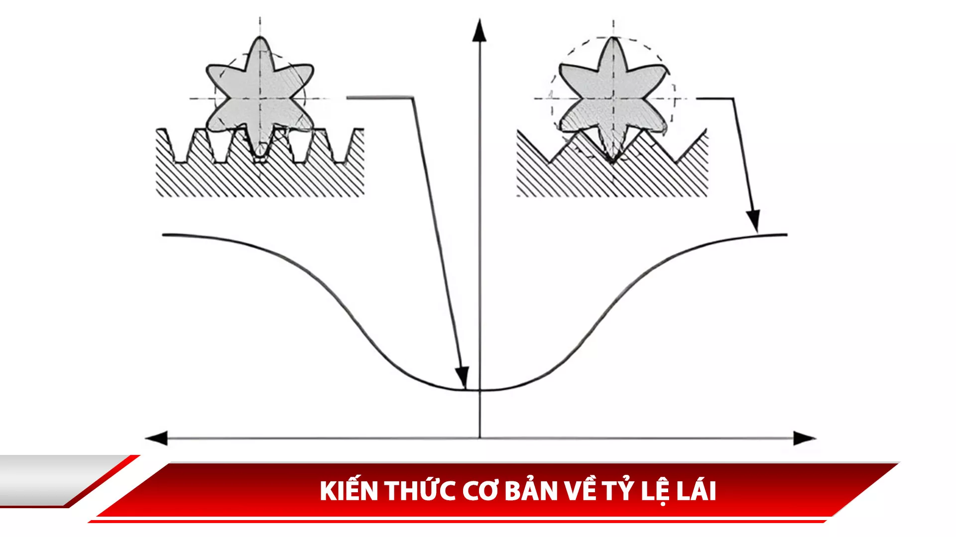 KIẾN THỨC CƠ BẢN VỀ TỶ LỆ LÁI