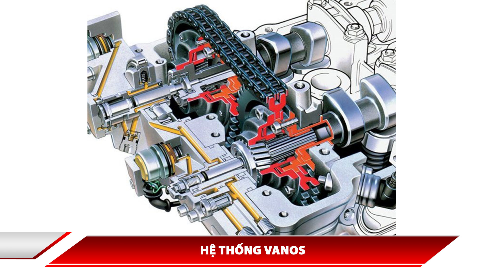 Hệ thống VANOS