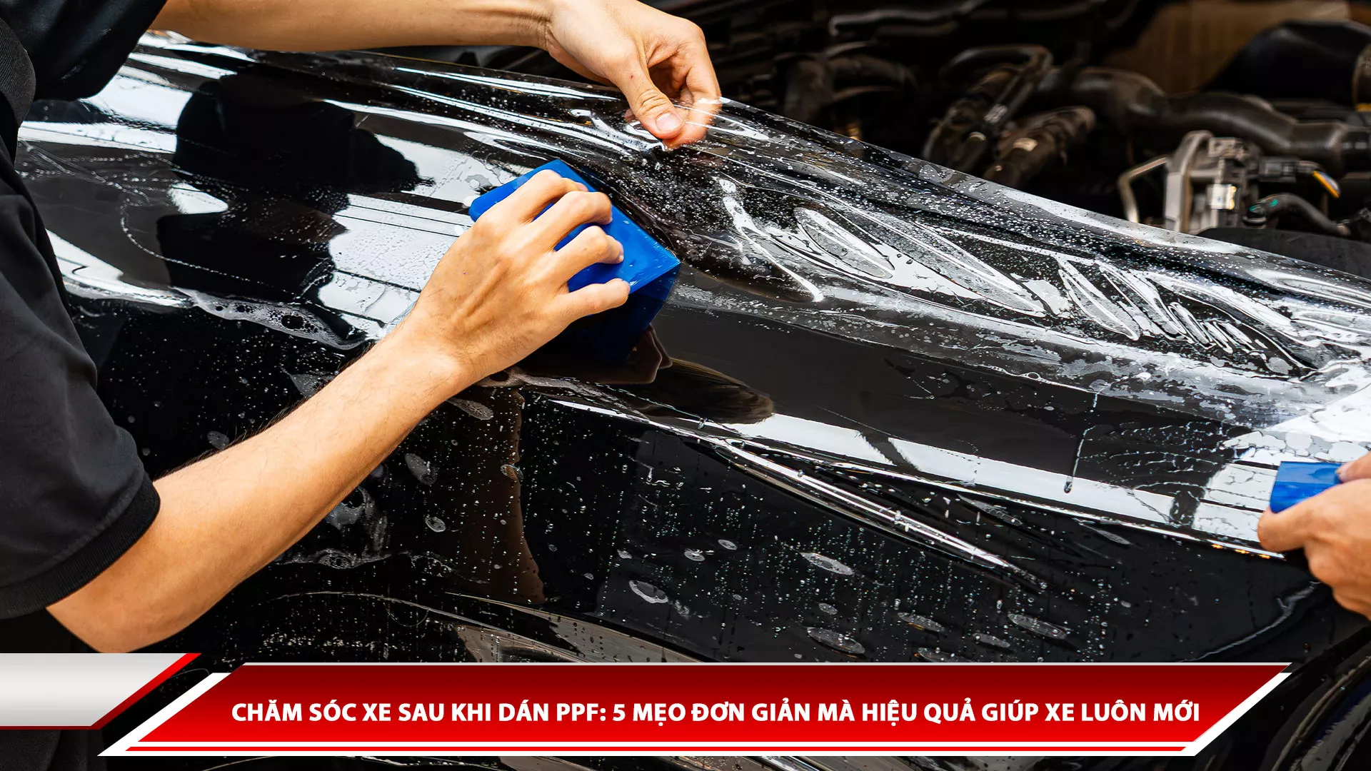 Chăm sóc xe sau khi dán PPF: 5 mẹo đơn giản mà hiệu quả giúp xe luôn mới