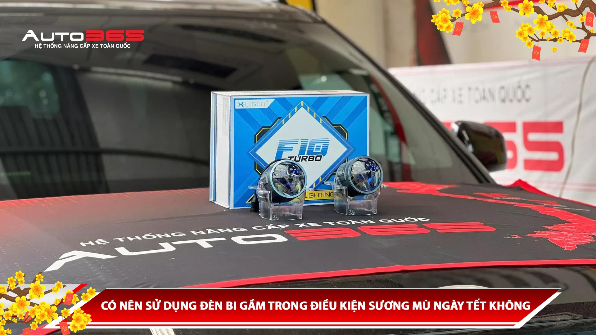 CÓ NÊN SỬ DỤNG ĐÈN BI GẦM TRONG ĐIỀU KIỆN SƯƠNG MÙ NGÀY TẾT KHÔNG?