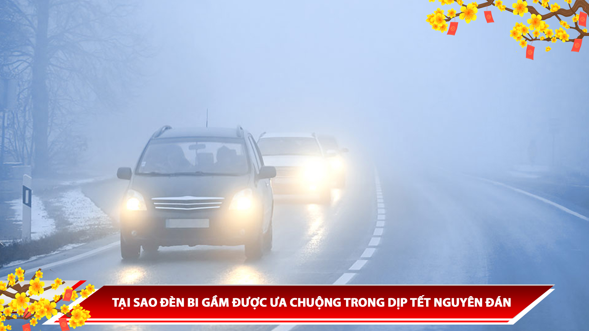 TẠI SAO ĐÈN BI GẦM ĐƯỢC ƯA CHUỘNG TRONG DỊP TẾT NGUYÊN ĐÁN