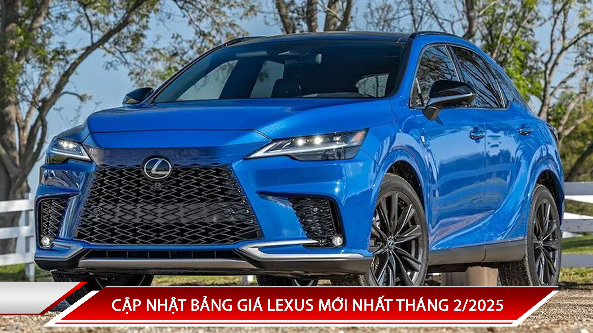 CẬP NHẬT BẢNG GIÁ LEXUS MỚI NHẤT THÁNG 2/2025