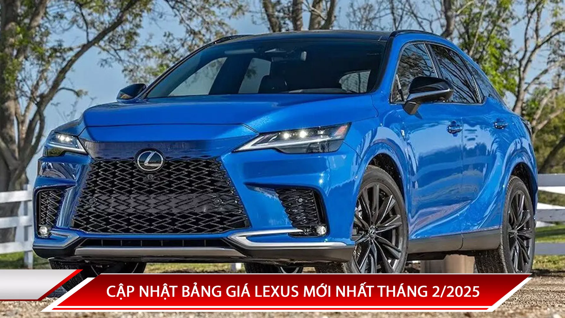 CẬP NHẬT BẢNG GIÁ LEXUS MỚI NHẤT THÁNG 2/2025
