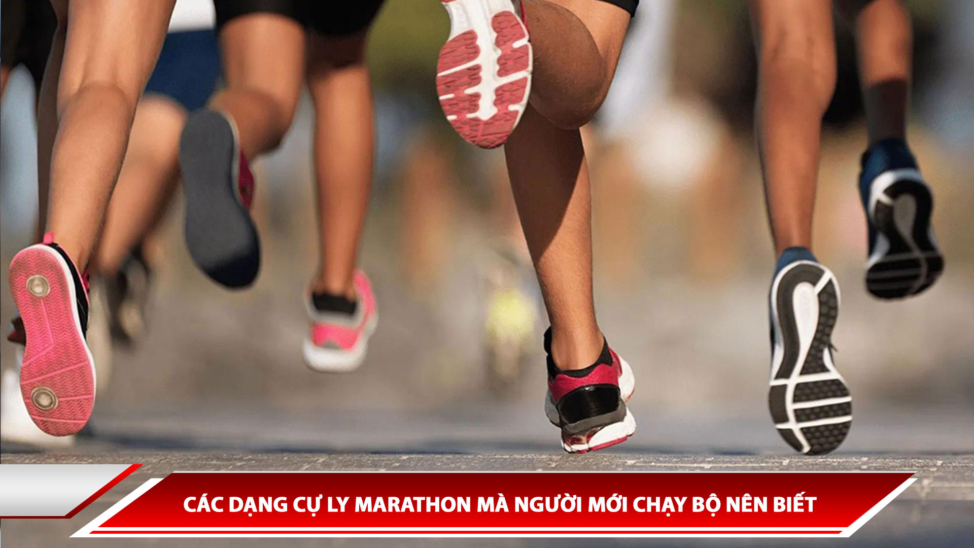 CÁC DẠNG CỰ LY MARATHON MÀ NGƯỜI MỚI CHẠY BỘ NÊN BIẾT