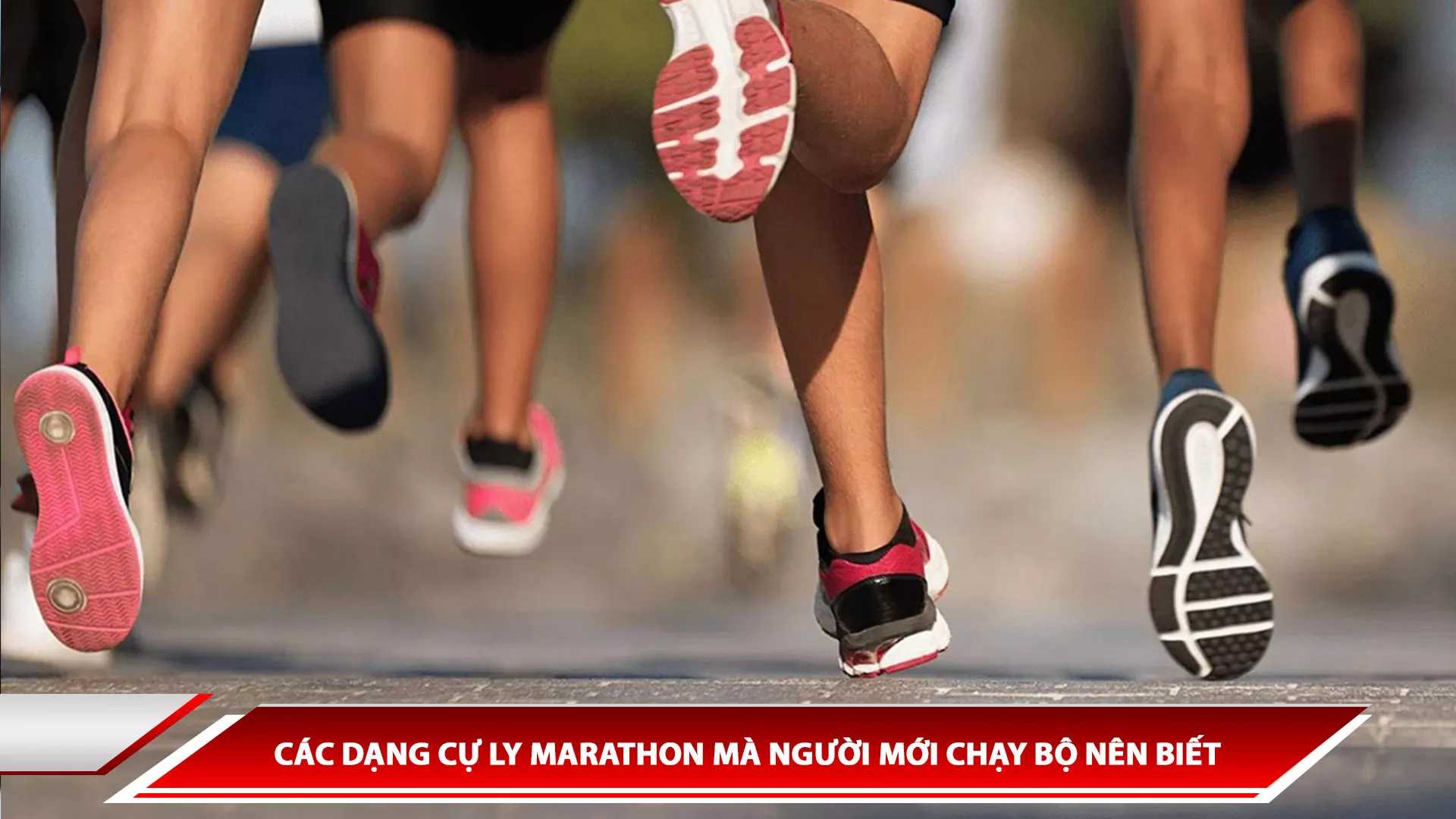 CÁC DẠNG CỰ LY MARATHON MÀ NGƯỜI MỚI CHẠY BỘ NÊN BIẾT