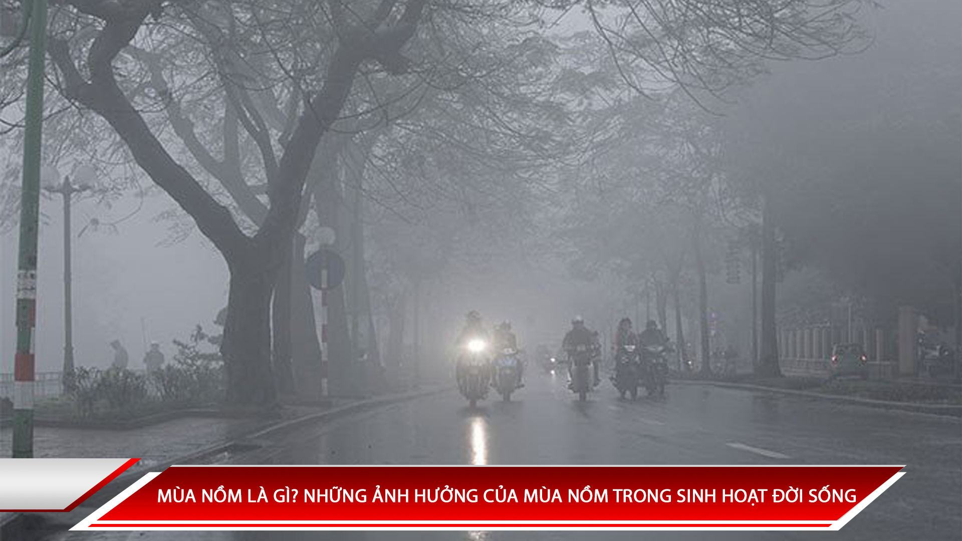 MÙA NỒM LÀ GÌ? NHỮNG ẢNH HƯỞNG CỦA MÙA NỒM TRONG SINH HOẠT ĐỜI SỐNG