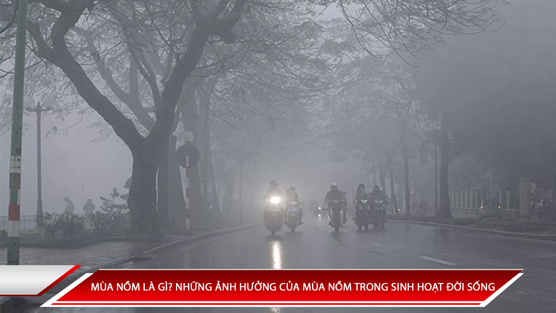 MÙA NỒM LÀ GÌ? NHỮNG ẢNH HƯỞNG CỦA MÙA NỒM TRONG SINH HOẠT ĐỜI SỐNG
