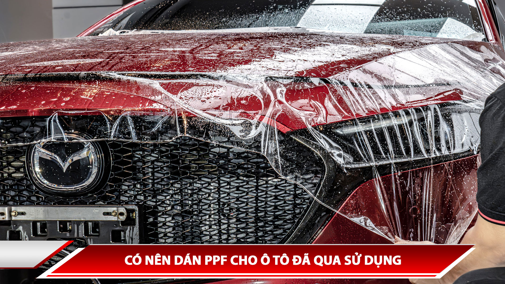CÓ NÊN DÁN PPF CHO Ô TÔ ĐÃ QUA SỬ DỤNG