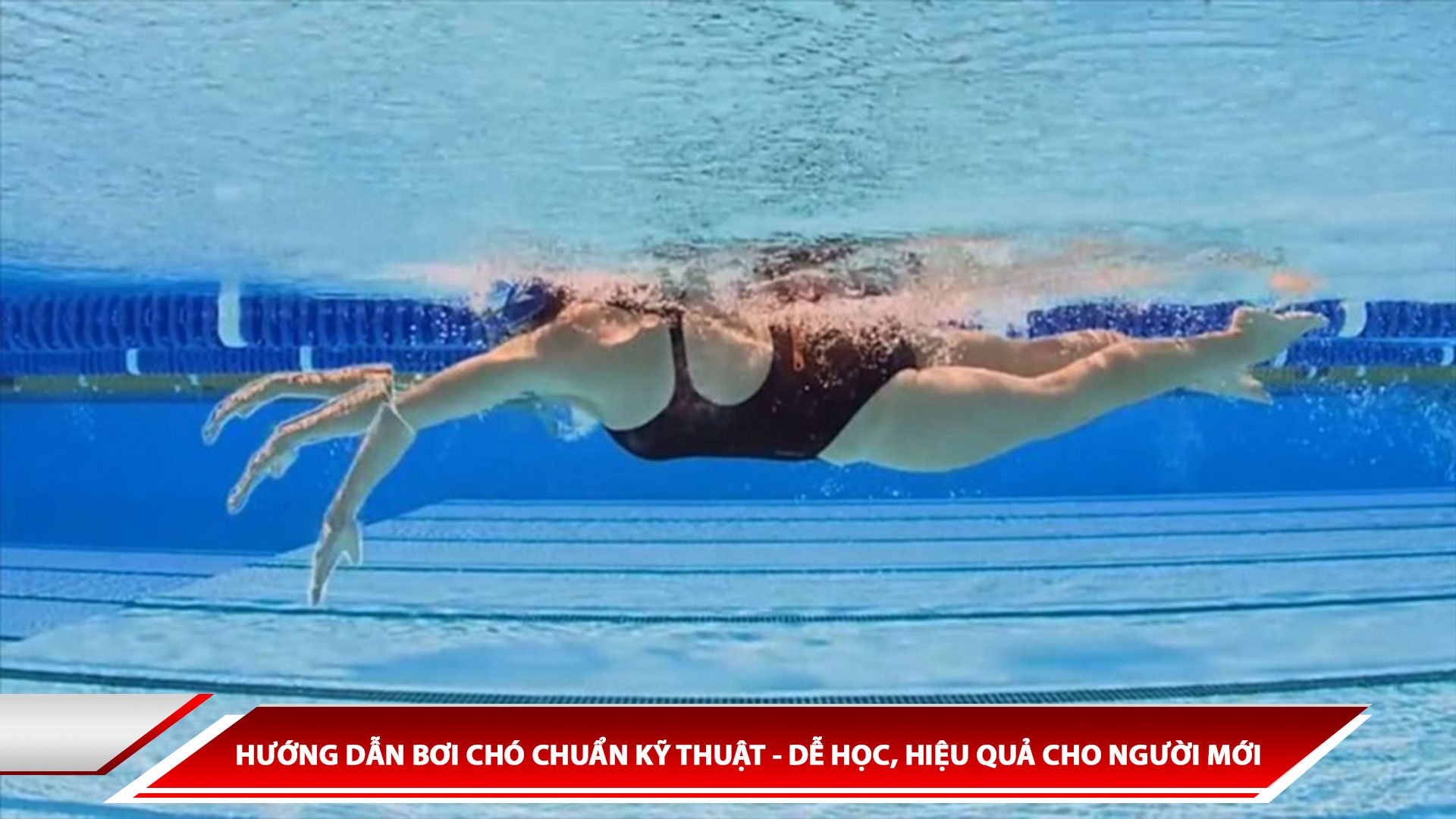 HƯỚNG DẪN BƠI CHÓ CHUẨN KỸ THUẬT - DỄ HỌC, HIỆU QUẢ CHO NGƯỜI MỚI