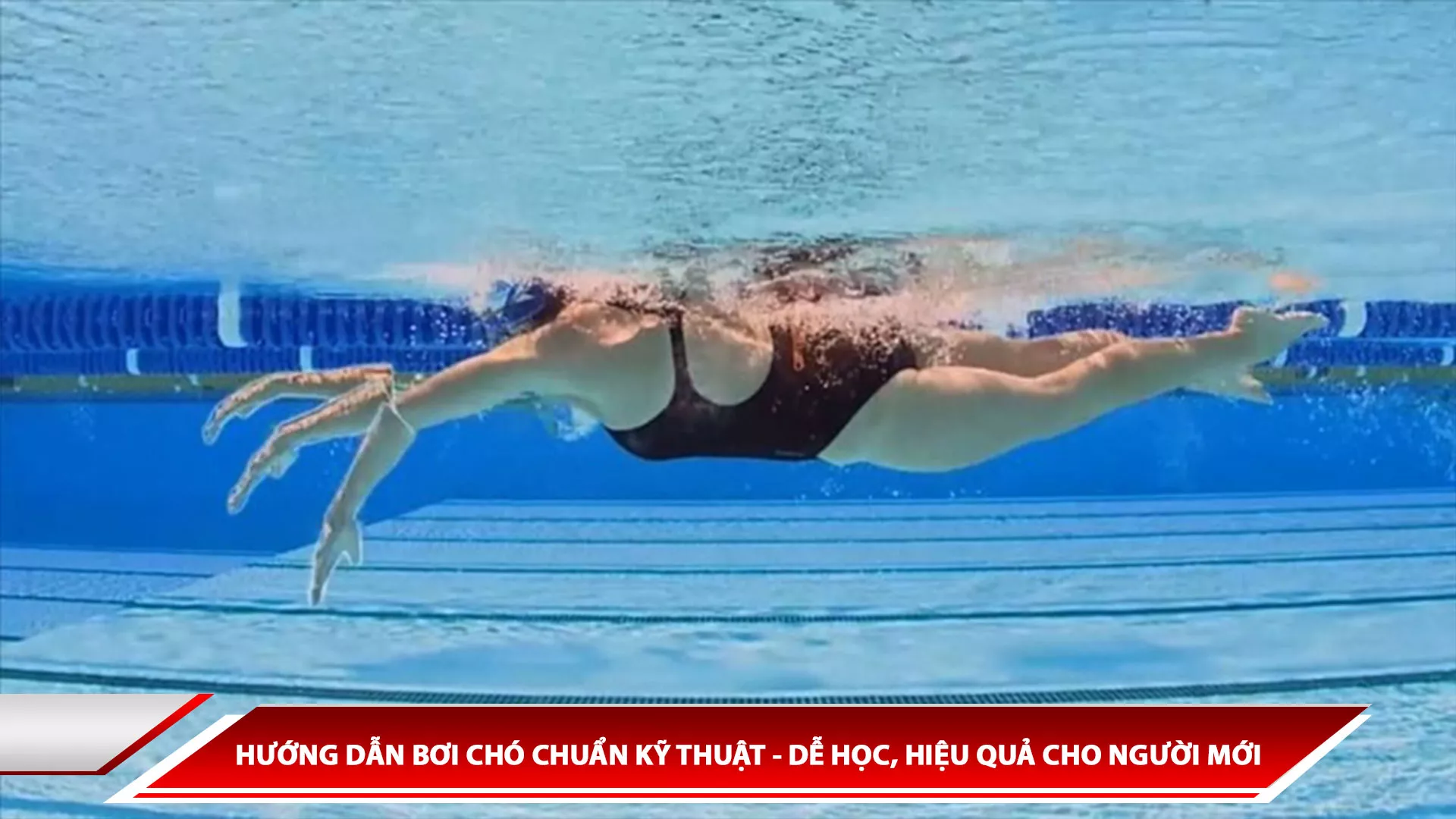 HƯỚNG DẪN BƠI CHÓ CHUẨN KỸ THUẬT - DỄ HỌC, HIỆU QUẢ CHO NGƯỜI MỚI