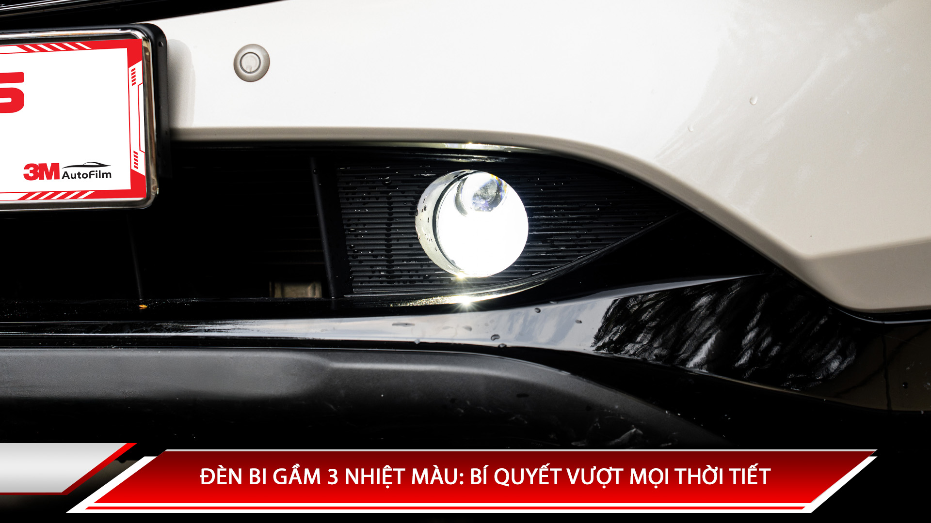 Đèn bi gầm 3 nhiệt màu: Bí quyết vượt mọi thời tiết