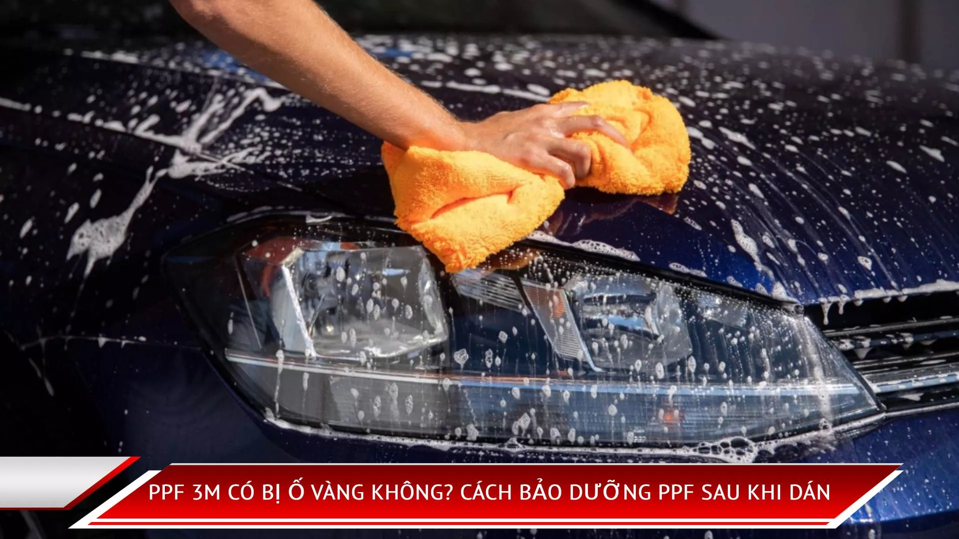 PPF 3M có bị ố vàng không? Cách bảo dưỡng PPF sau khi dán